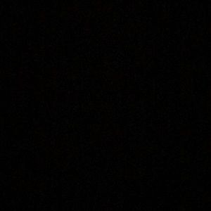 Meet your Posher, Belle